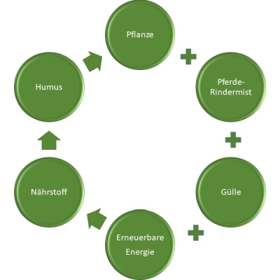 Kreislaufdiagramm